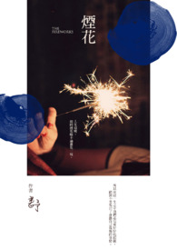 岳阳烟花爆竹“打非治违”推进